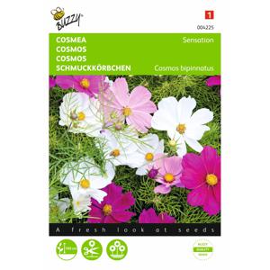 2 stuks Cosmos Sensation Gemengd