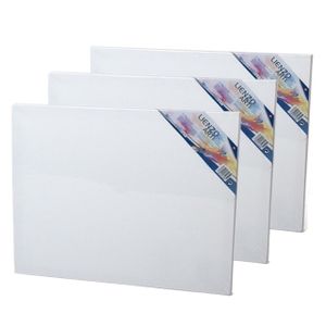 4x stuks canvas schildersdoeken 50 x 40 cm voor hobby verven/schilderen