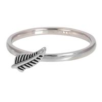 iXXXi Vulring Symbol Feather Zilver | Maat 20 - thumbnail