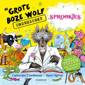 De Grote Boze Wolf onderzoekt sprookjes (Hardback)