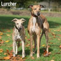 Lurcher Kalender 2026