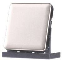 CD 594-0 GB  - Cover plate for Blind plate bronze CD 594-0 GB