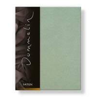 Dommelin Dommelin Hoeslaken Uni Satijn 300TC 551 Spargroen 90x210/30