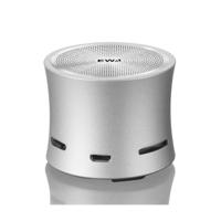 EWA A104 Bluetooth Speaker MP3-speler draagbare speaker metallic USB-ingang MP3-speler stereo Multimedia Speaker (Sliver)