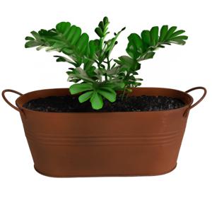 Plantenpot/bloempot teil voor buiten - zink - roestbruin - L34 x D12 x H13.5 cm