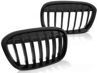 Tuning-Tec Grill BMW X1 F48 15- GLANZEND ZWART - thumbnail