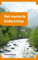 Het mysterie leiderschap (Paperback)