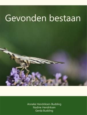 Gevonden bestaan (Paperback)