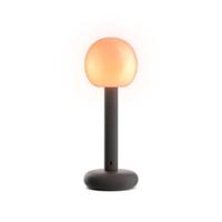 Grau Fire Portable Lamp - Zwart - thumbnail