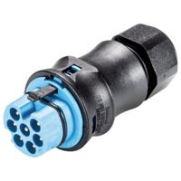 Wieland Electric 96.072.4153.9 Steekverbinder