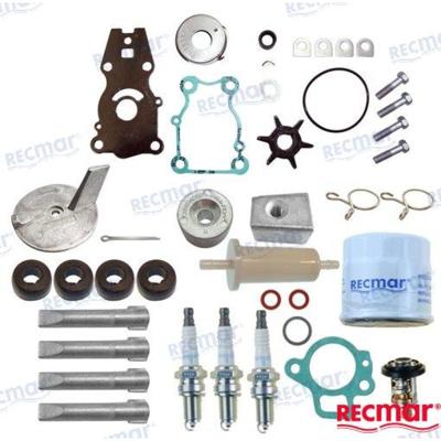 REPUESTOS MOTORES RECKITF30A - KIT MANTENIMIENTO YAMAHA