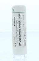 Homeoden Heel Hyoscyamus niger 200K 6 Gram