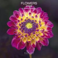 Flowers Kalender 2026