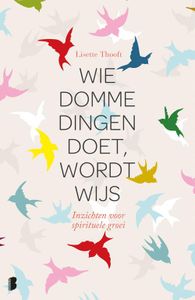 Wie domme dingen doet wordt wijs - Lisette Thooft - ebook