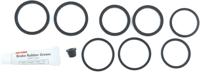 DAYTONA reparatie kit remklauw