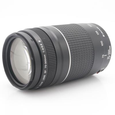 Canon EF 75-300mm F/4-5.6 III occasion