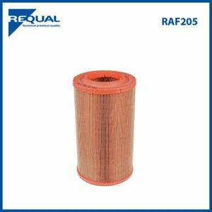 Requal Luchtfilter RAF205