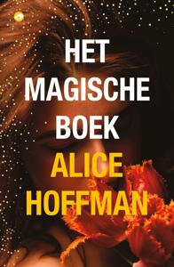 Het magische boek (Paperback)