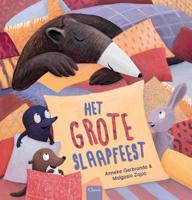 Het grote slaapfeest (Hardback)