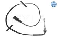 Sensor, uitlaatgastemperatuur 2148000044