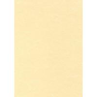 Decadry structuurpapier champagne, 165 g, pak van 50 vel