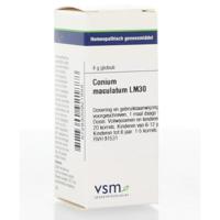 Conium maculatum LM30 4 Gram