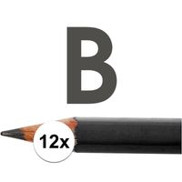 12x HB potloden voor volwassenen hardheid B   -