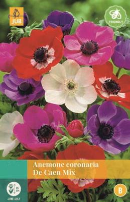Anemone Coronaria De Caen Mix - Jub
