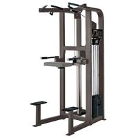 Hammer Strength Select Assist Dip Chin