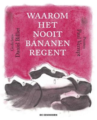 Waarom het nooit bananen regent (Hardback)