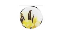Cornat sa1029 afvoerplug decor vanilla cream 39.5mm Cornat sa1029 afvoerplug decor vanilla cream 39.5mm