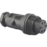 Bulgin PX0801 Ronde connector Stekker, inbouw Serie (ronde connectoren): PX08 1 stuk(s)