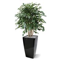 Ficus Exotica XL kunstplant 110cm