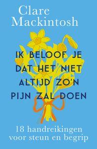 Ik beloof je dat het niet altijd zo'n pijn zal doen - Clare Mackintosh - ebook