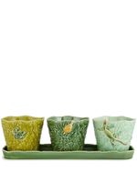 Bordallo Pinheiro lot de trois slips 'Jardim De Insetos' - Vert