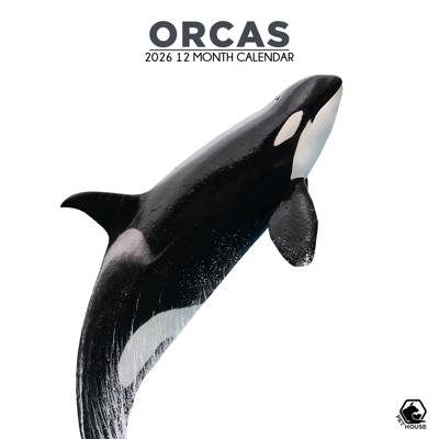 Orca Kalender 2026