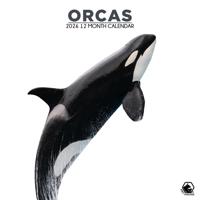 Orca Kalender 2026