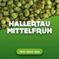 Hopkorrels Hallertau Mittelfrüh 100 g - thumbnail