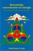 Bewustzijn, concentratie en energie (Paperback)