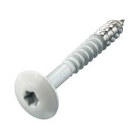 Hoenderdaal crèmewitte hpl schroef - RVS-A2 - TX-20 - 4.8x25mm Hoenderdaal crèmewitte hpl schroef - RVS-A2 - TX-20 - 4.8x25mm