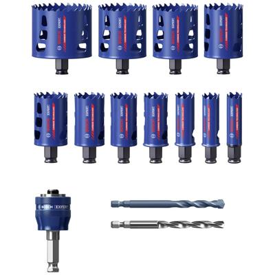 Bosch Accessories EXPERT Tough 2608900447 Gatenzaagset 14-delig 20 mm, 22 mm, 25 mm, 32 mm, 35 mm, 40 mm, 44 mm, 51 mm, 60 mm, 64 mm, 76 mm 14 stuk(s)