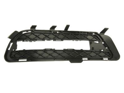 Ventilatiegrille, bumper 6502073529916P