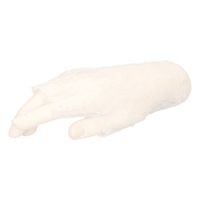 Witte korte kanten handschoenen voor volwassenen - thumbnail