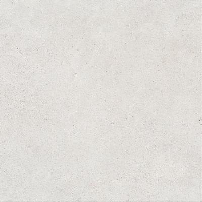 Vloertegel Borneo White 60x60 rett grijs | Geschikt als zowel vloertegel als wandtegel