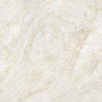 Taj Mahal Nature mat 120x120 rett gerectificeerd | Geschikt voor vloerverwarming