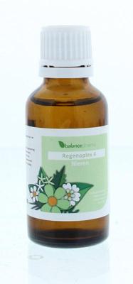 Balance Pharma RGP004 Nieren Regenoplex