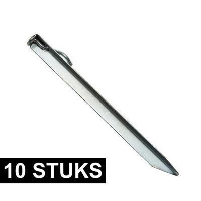 Tentharing stormband - 10x - gegalvaniseerd staal - 38 cm - haak - oog