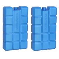Gerimport Koelelement - 2x - 400 ml - 9,5 x 16 cm - blauw - voor koeltas of koelbox