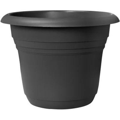 Pot mediter.campana d20 cm antra - Florus