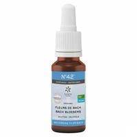 Bachbloesem Bio N°42 Druppels Zelfvertrouwen 20ml Bachbloesem Bio N°42 Druppels Zelfvertrouwen 20ml